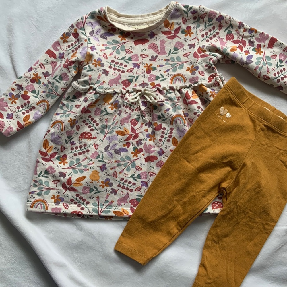 Flowers and birds (Sfera) baby girl dress with leggings